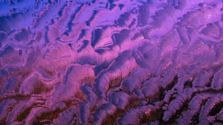 textured purple gradient background with curvatures